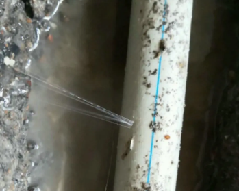 郫县卫生间测漏水多少钱